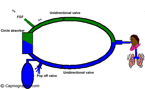 circlestatic